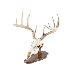 Foggy Bottom Woodworks European Mount Display Walnut