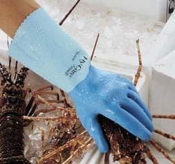 Ansell Healthcare Glove Latex 62-400 8 PK12