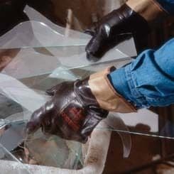 Ansell Healthcare GLVGLDSFCUF28-359PK12PR10  Case