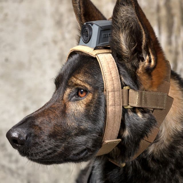 MOHOC K9 Mount Tan One size fits all
