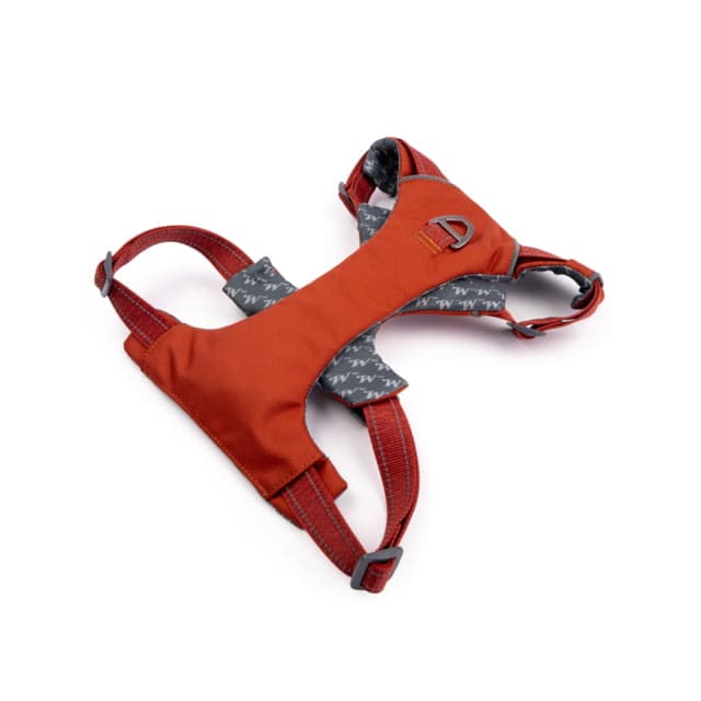 Winchester Pet Comfort-Fit No-Pull Padded Dog Harness Ketchup S