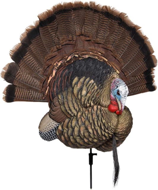 Avian X Turkey Trophy Tom Display Mount/Decoy Black