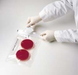 BD GasPak EZ Pouch Systems BD Diagnostics Anaerobe Pouch System