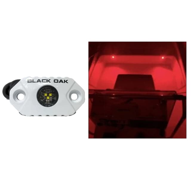 Black Oak LED Rock Accent LED Light White Housing Red