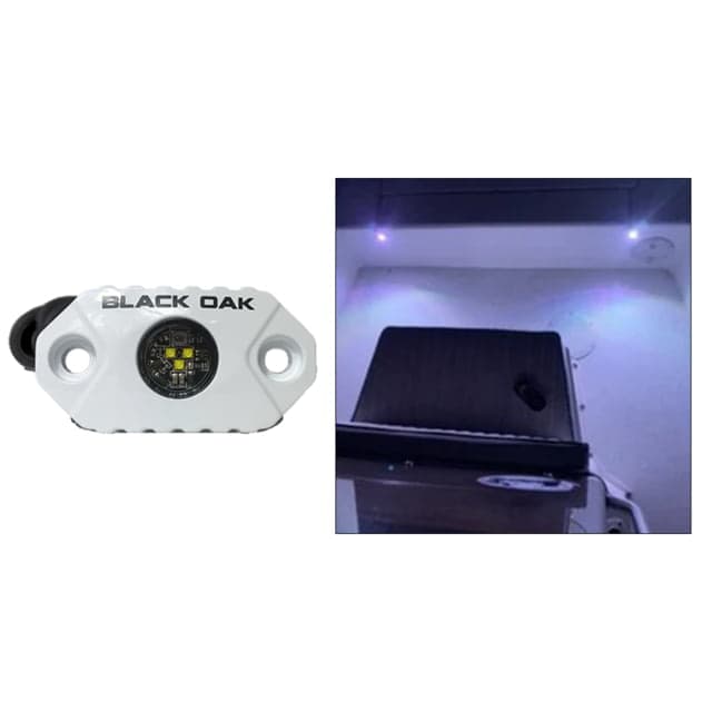 Black Oak LED Rock Accent LED Light White Housing White