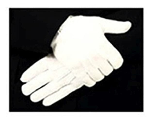 HEROs PRIDE Raised Pointing Parade Slip-On Gloves - Mens White Large