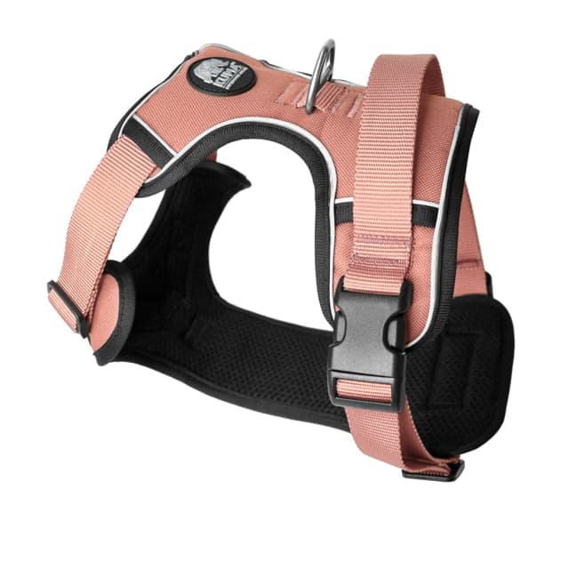 Kuma Outdoor Gear Lazy Bear Dog Harness Large Flamingo Large
