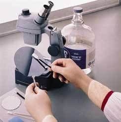 Mapa/Spontex Pioneer Corp Glove Trpl Polymr CS200/PR8