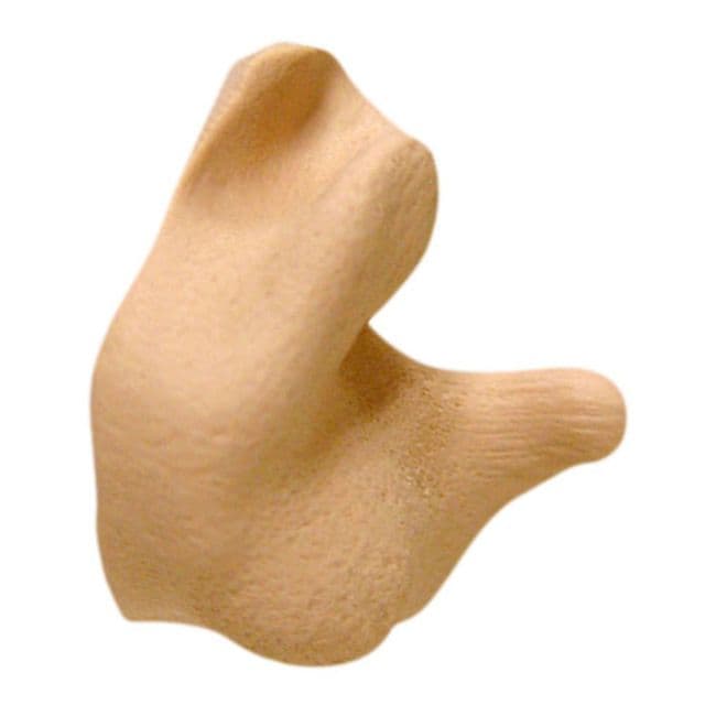 Radians Custom Molded Earplugs - Retail Box with Tan Plugs