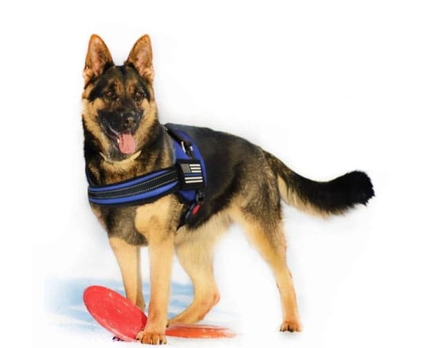 Thin Blue Line Harness With Patch Thin Blue Line