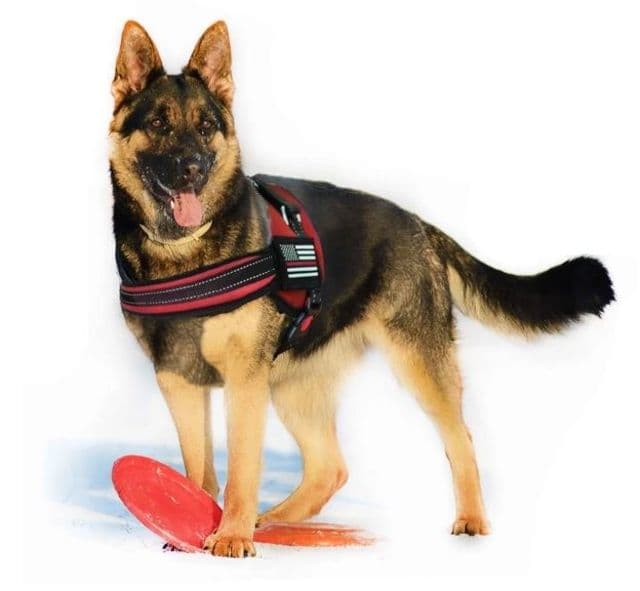 Thin Blue Line Dog Harness Thin Red Line