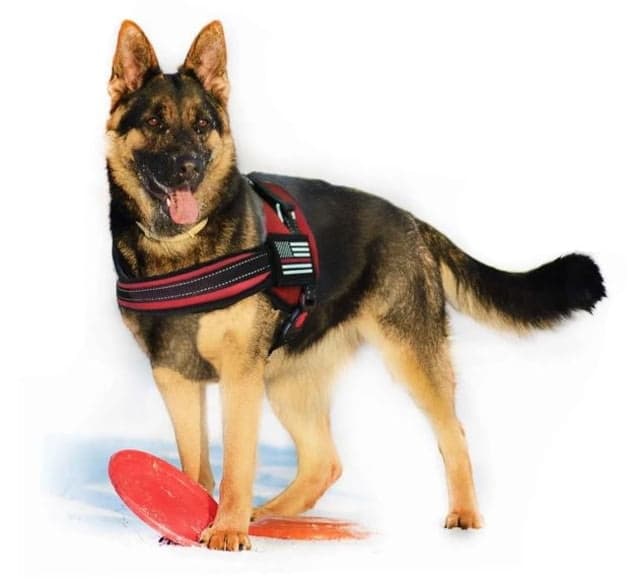 Thin Blue Line Dog Harness Thin Red Line