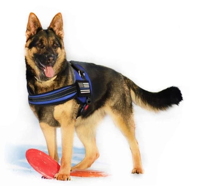 Thin Blue Line Harness With Patch Thin Blue Line
